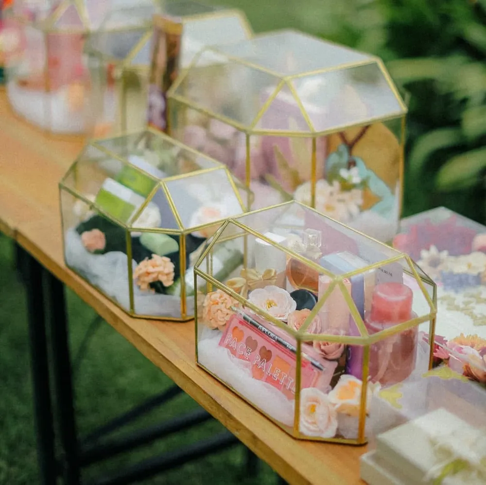 Box terarium Tera Series